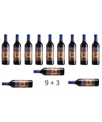 Verkostungspaket Red Wine Party Pack 9+3
