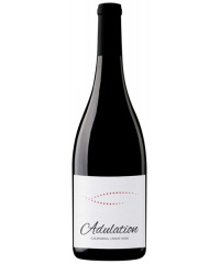 Rotwein Adulation Pinot Noir 2021