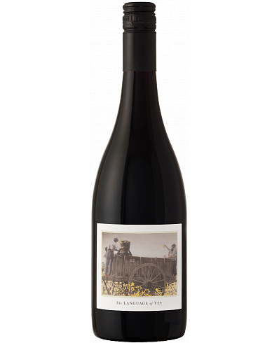 The Language of Yes Syrah 2023 750 ml