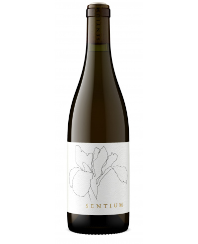 Continuum Sentium Sauvignon Blanc 2023