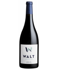 Rotwein Walt Wines Blue Jay Pinot Noir 2020