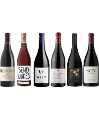 Verkostungspaket In Pinot We Trust