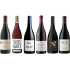 Verkostungspaket In Pinot We Trust