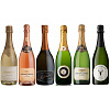 Verkostungspaket Sparkling Tasting Pack