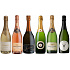 Verkostungspaket Sparkling Tasting Pack