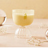 Rewined Sparkling Champagne Coupe Kerze 198 g