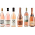 Verkostungspaket Rosé Tasting Pack