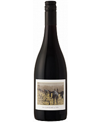 The Language of Yes Grenache 2023 750 ml
