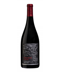 Rotwein Roots Run Deep Winery Educated Guess Pinot Noir 2022