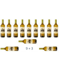 Verkostungspaket White Wine Party Pack 9+3