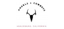 Angels & Cowboys